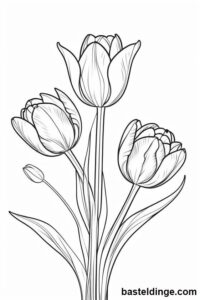 Tulpen Ausmalbilder