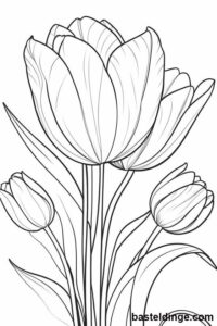 Tulpen Ausmalbilder