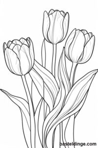 Tulpen Ausmalbilder