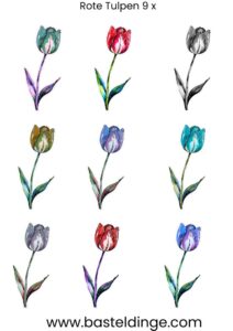 Tulpen in verschieden Farben